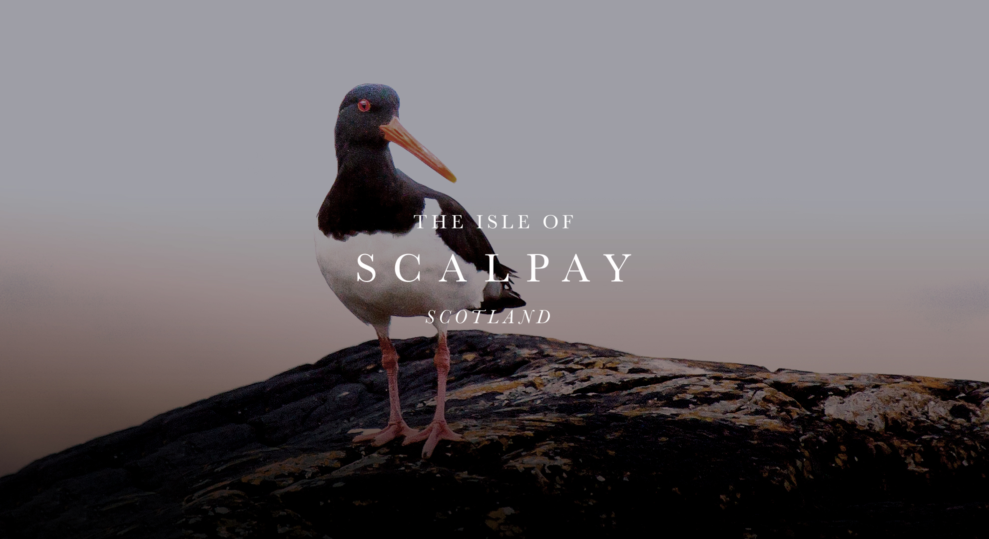 Isle of Scalpay Image